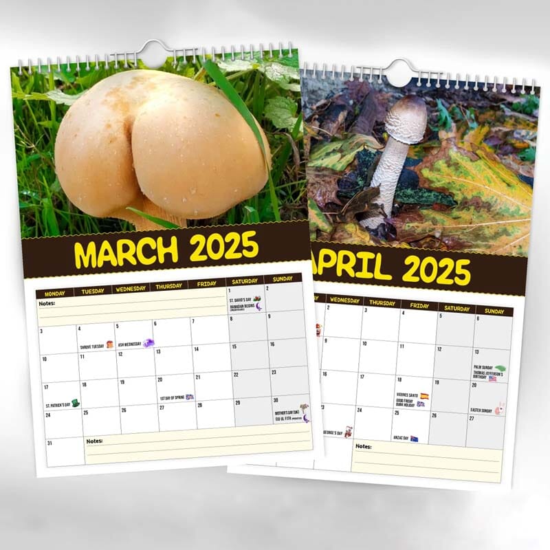 2025 World's Greatest Mushrooms Calendar