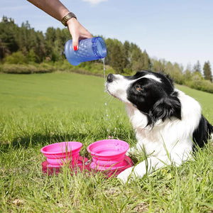 Travel Dog Diner Set