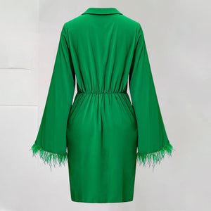 Fringed Sleeve Hip Dress