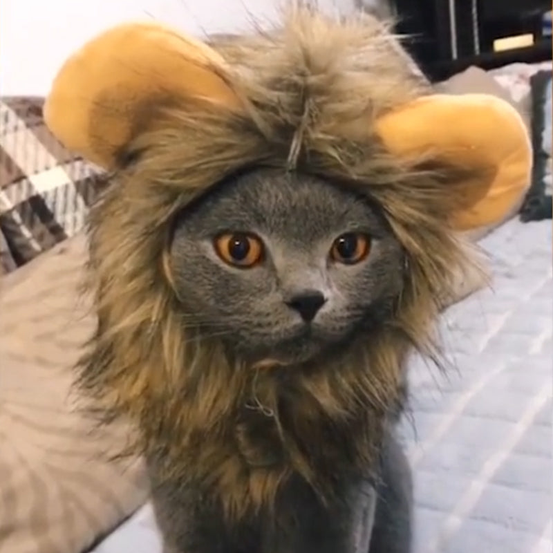 Pet Simulation Lion Mane