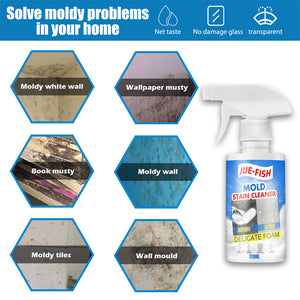 Mould & Mildew Remover Cleaning Spray