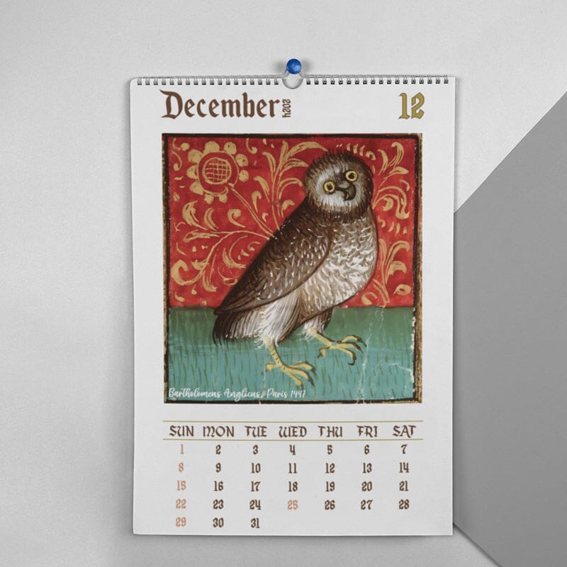 🦉Weird Medieval Owl Calendar 2024📅