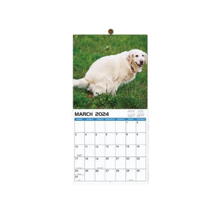 The funniest calendar of this century | The "artistic expression" of furry friends