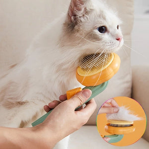 Pumpkin Pet Combing Brush